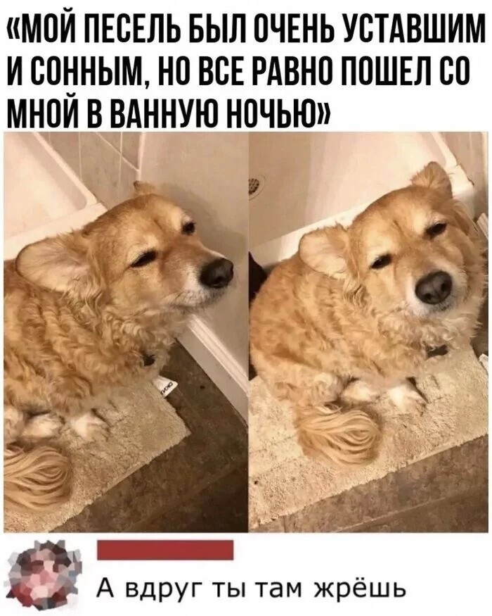 Скрины из соцсетей