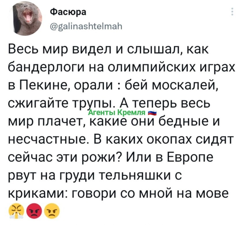 Вроде бы дело заводила Международная организация на этих болельщиков. Видимо опять глаза закрыли, или двойные стандарты