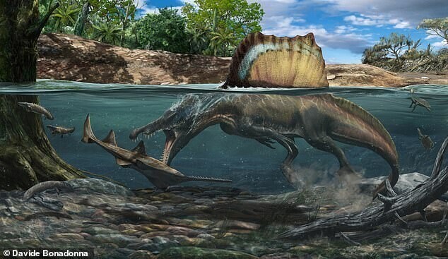 Самый большой хищный динозавр был подводным охотником