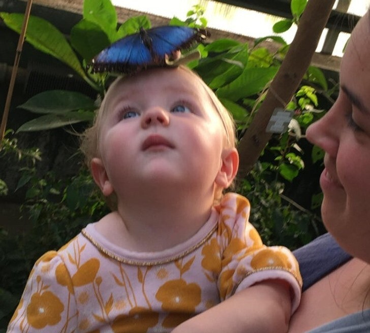 9. "На моей дочке был ободок с бабочкой, и на него села настоящая бабочка!"