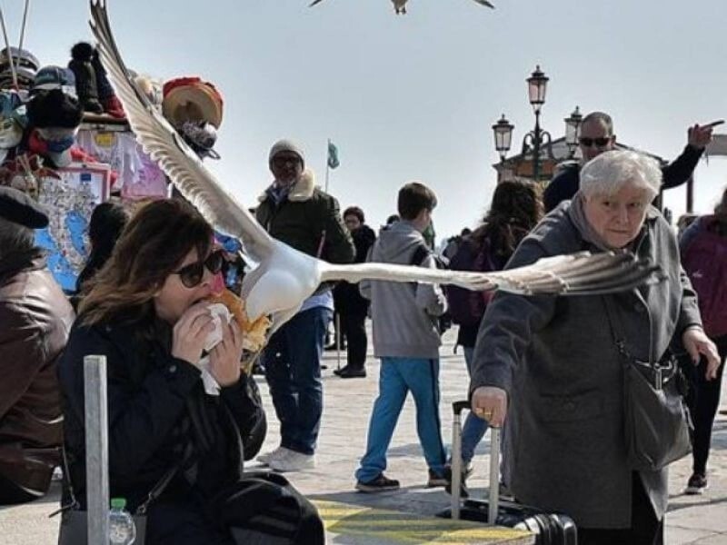 Захватить Италию и печеньки: туристам в Венеции выдали пистолетики отстреливаться от чаек