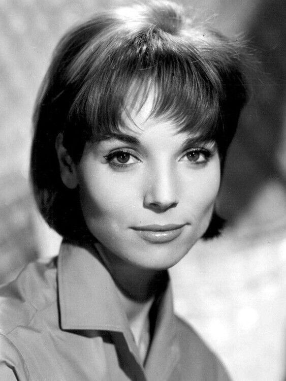 Итальянская актриса Эльза Мартинелли в 1960-х годах