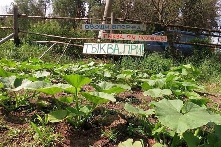 Краткое содержание сегодняшней речи Байдена