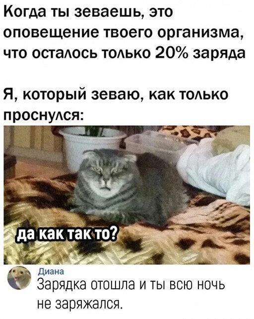 Смешные и познавательные картинки