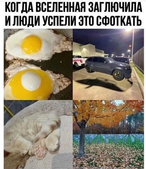 Смешные и познавательные картинки