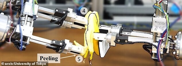 Японцы разработали робота, который умеет чистить бананы