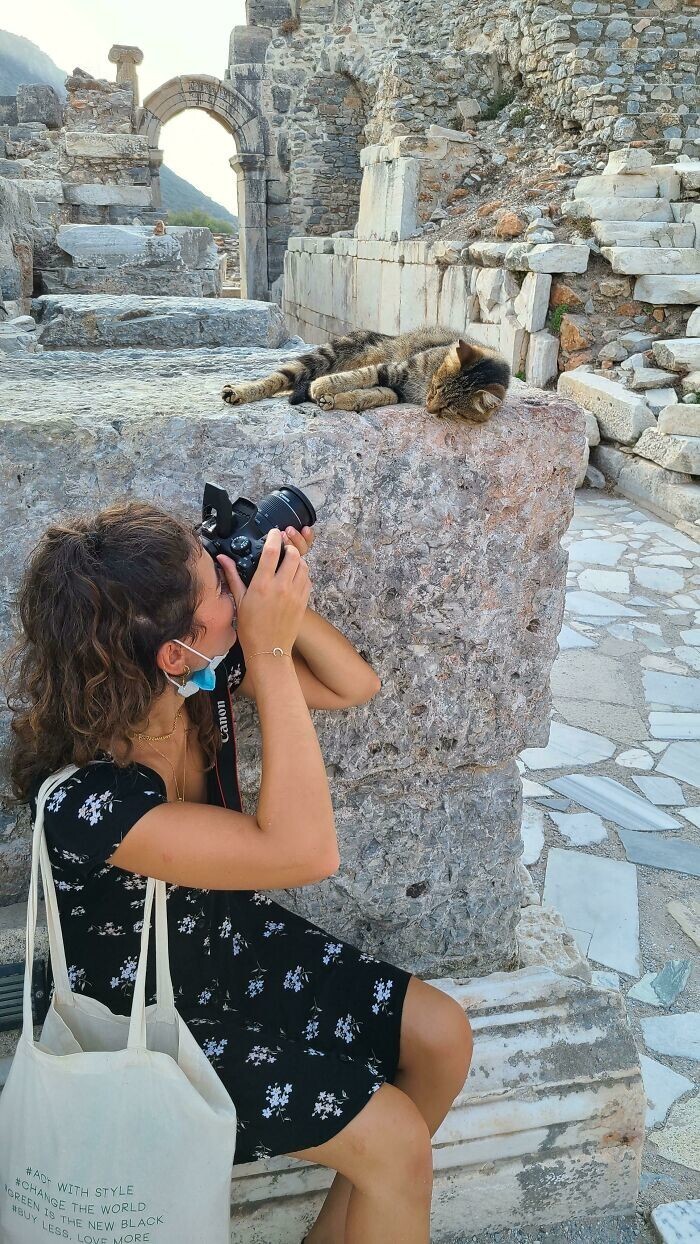 25. "Мы с девушкой пошли посмотреть на руины Эфеса в Турции и там было больше кошек, чем людей"