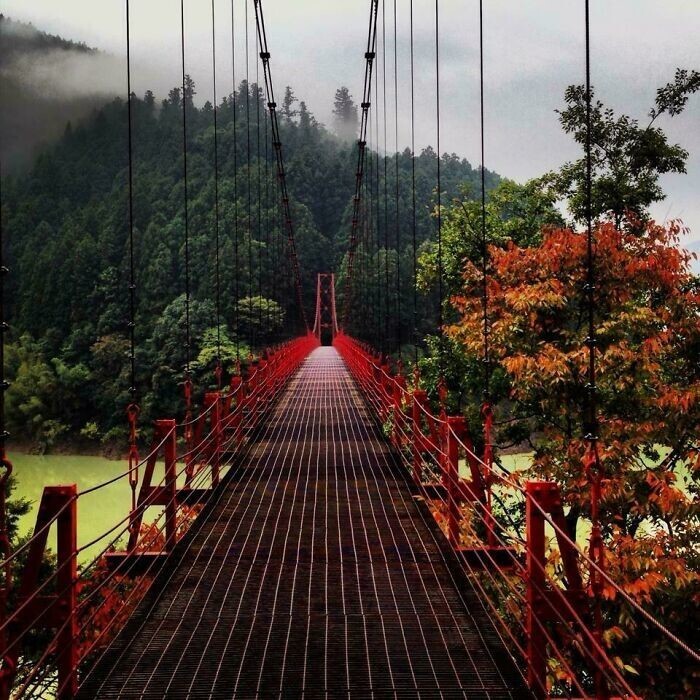 21. "Мое фото подвесного моста в горах Вакаяма, Япония"