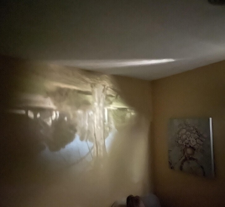 15. "Перевёрнутое отражение нашего дворика перед домом появилось на стене спальни моей дочери"