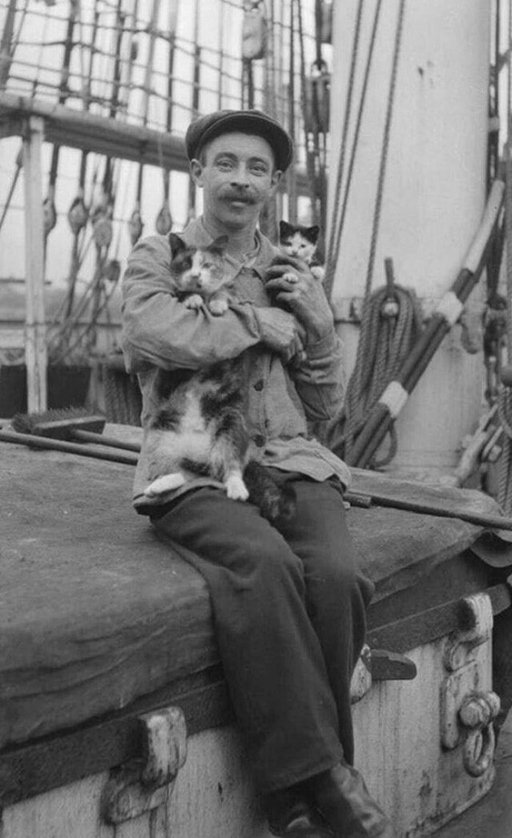 Моряк фотографируется со своими кошками, которые всегда идут в плаванье вместе с ним. 1910 год. США. .