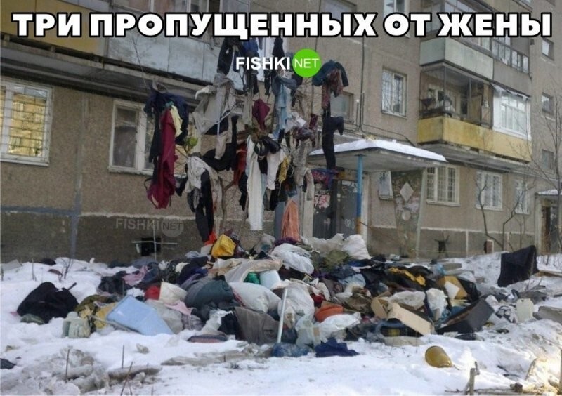 Смешные и познавательные картинки