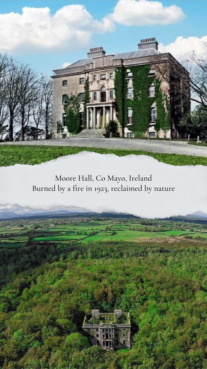 5. "Мур Холл, графство Мейо, Ирландия. Сгорел в 1923 году,  отвоеван природой". 1800-е годы по сравнению с сегодняшним днем