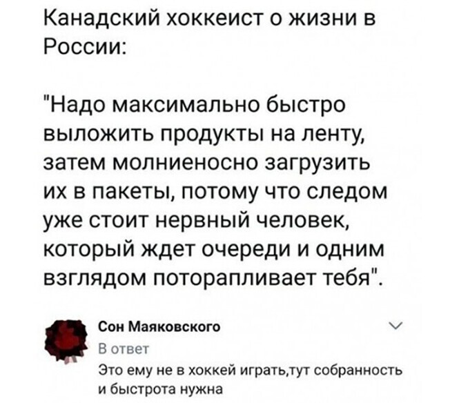 Смешные и познавательные картинки