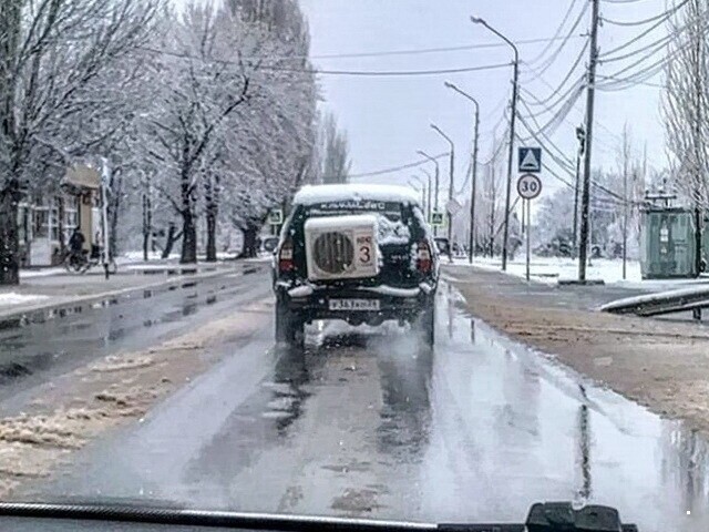 Автовсячина