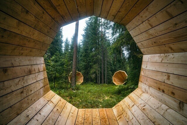 Три гигантских мегафона, построенных в лесу Эстонии. Они усиливают звуки окружающей среды, и они достаточно большие, чтобы человек мог посидеть внутри