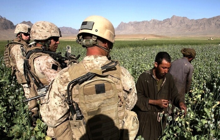 Талибан запретил выращивать мак в Афганистане