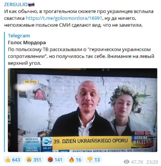 "Трогательный сюжет" на Польском ТВ разоблачил откровенных нацистов. Блогер объяснил: "Ну да ничего…"
