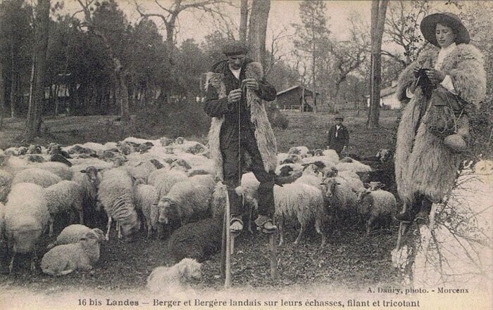 Зачем французские пастухи до XX века ходили на ходулях