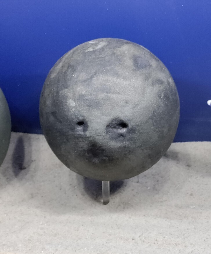 24. "У этого шара, который я нашел на выставке в аквариуме, как будто морда тюленя"