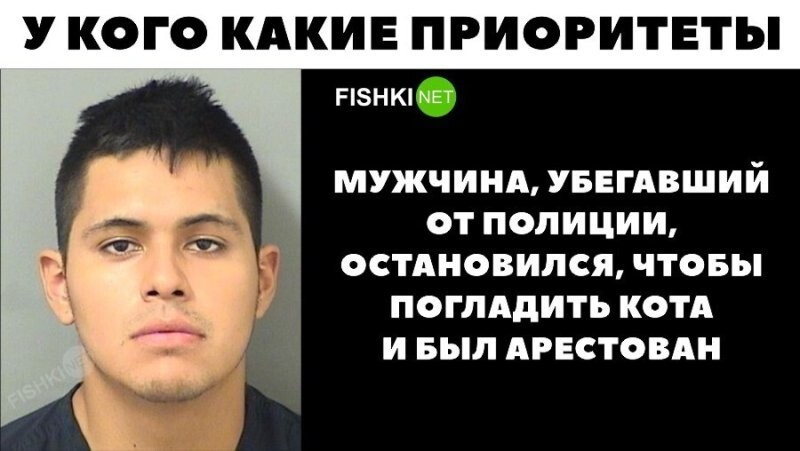 Смешные и познавательные картинки