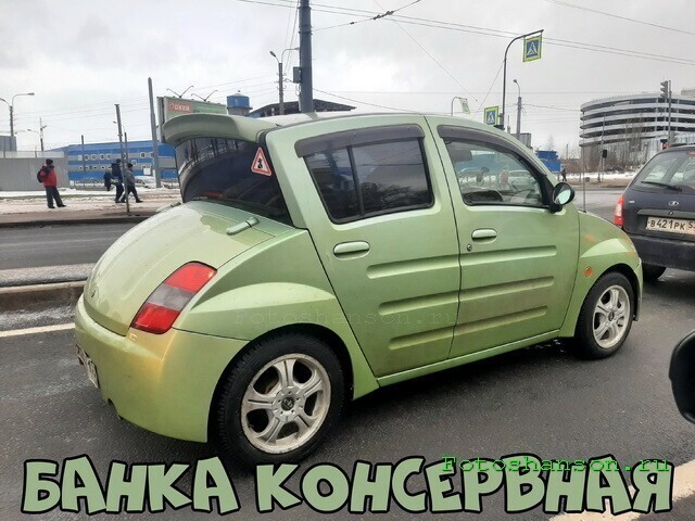 Автовсячина