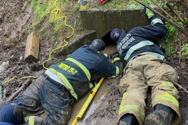 Спасатели сумели вызволить собаку, застрявшую в трубе ливневой канализации