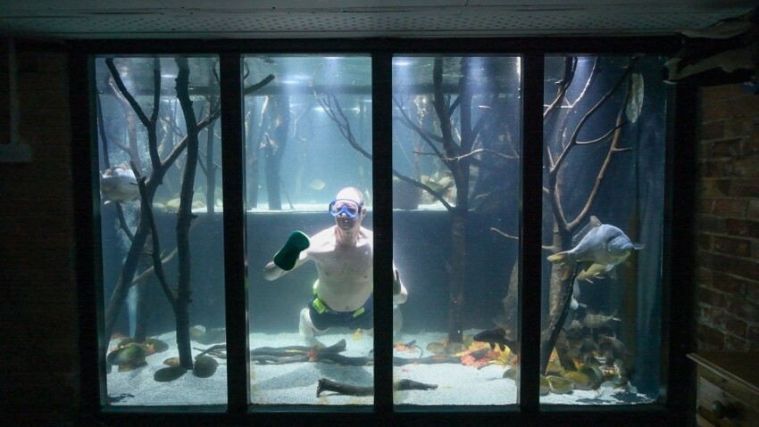 Британец превратил свой дом в гигантский аквариум, потратив на любимое хобби целое состояние