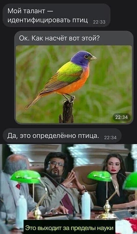 Не ищите здесь смысл. Здесь в основном маразм