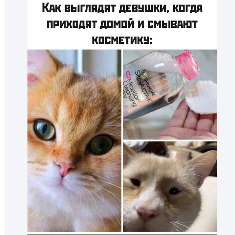 Немного пятничного позитива