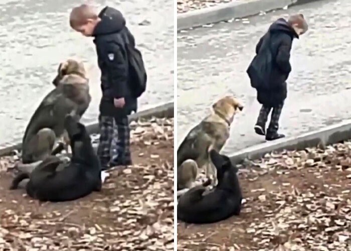 Ибрагим сделал мир чуточку ярче, показав нам, насколько безусловной может быть любовь ребёнка