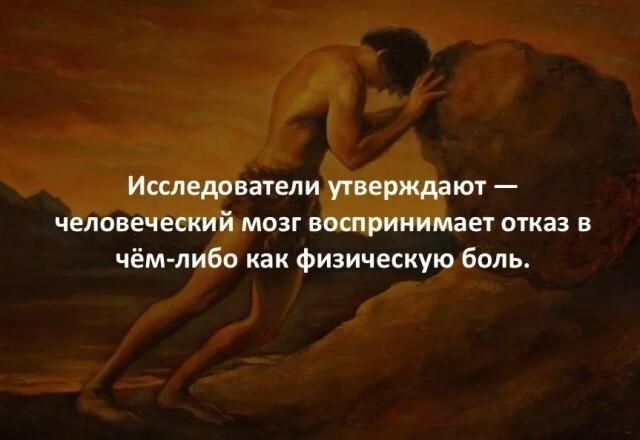 Интересные факты