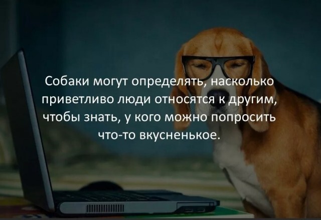 Интересные факты