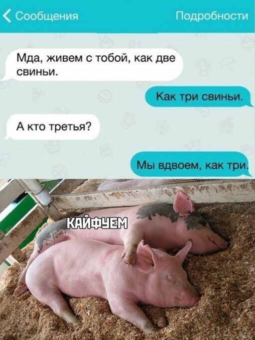 Смешные и познавательные картинки