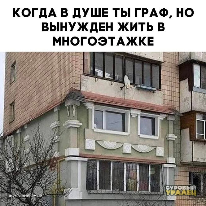 Смешные и познавательные картинки