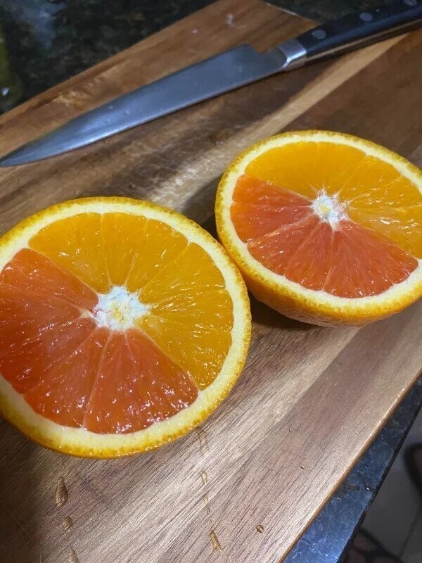 Апельсин с разными оттенками