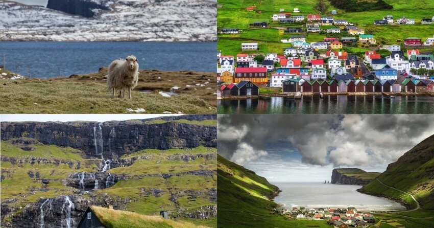 Фарерские острова глазами овец