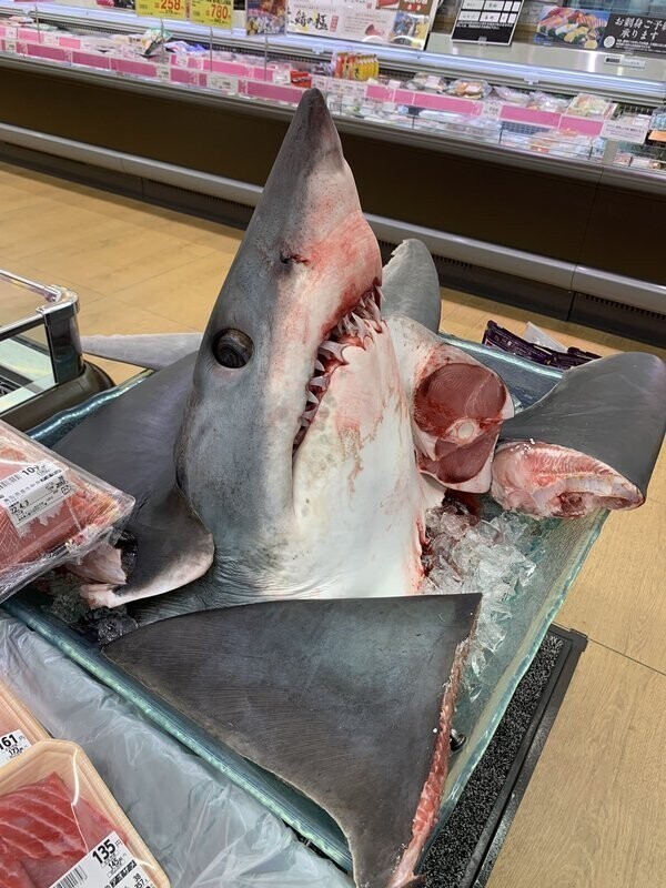 Акулье мясо в японском супермаркете
