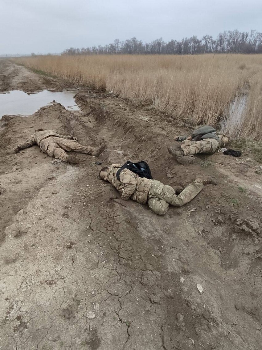 Более 1000 солдат ВСУ сдались в плен под Мариуполем