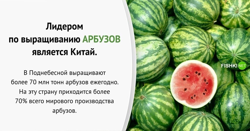 Китай тут. Интересные факты о продуктах. Интересные китайские продукты.