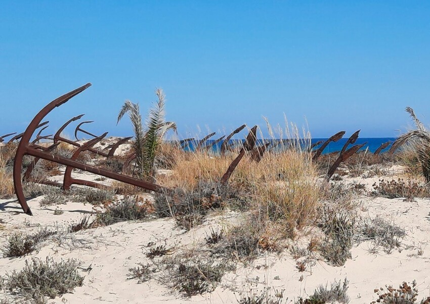 Откуда на португальском пляже взялось настоящее "кладбище якорей"