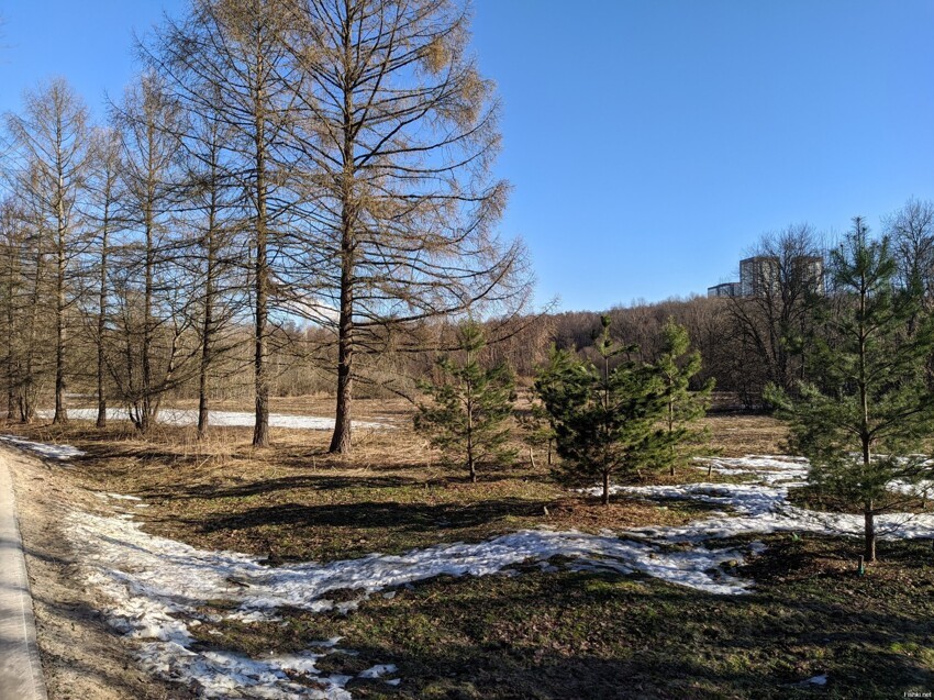 Утреннего парка вам в ленту