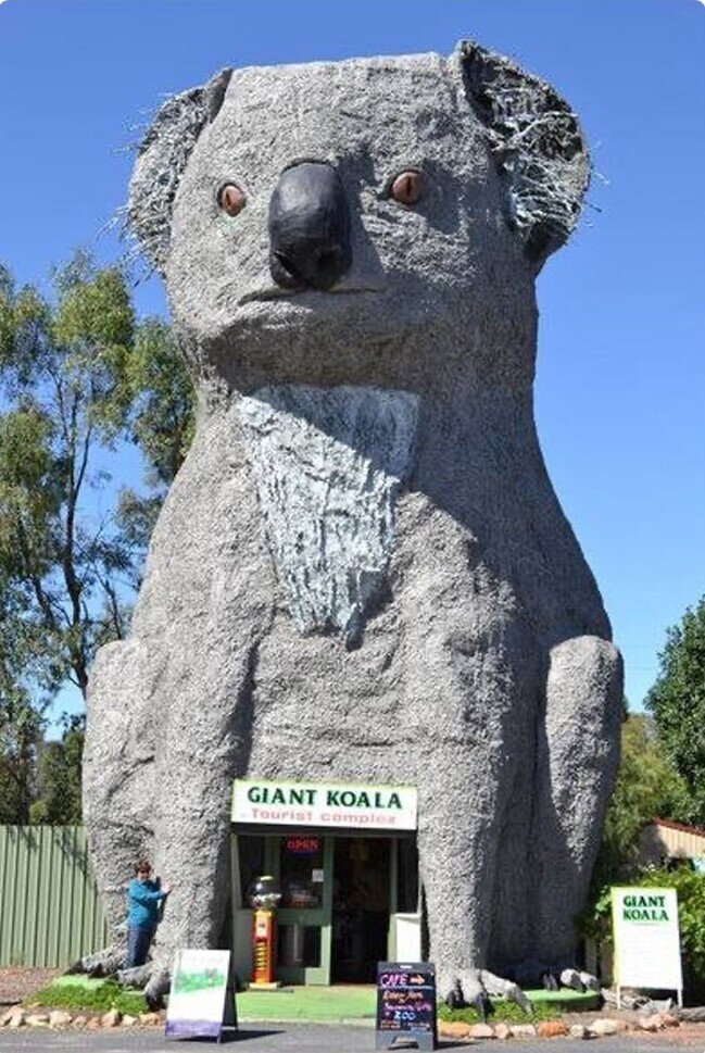 12. Туристический комплекс "Гигантская коала". Додсвеллс Бридж, Австралия. Архитектор Бен Ван Зеттон, 1989 г.