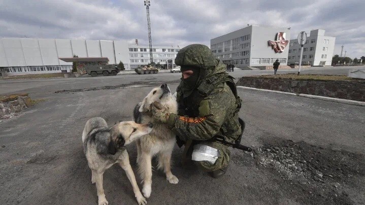 Доброта от сердца: Русские солдаты отдали свои пайки голодным кошкам и собаками