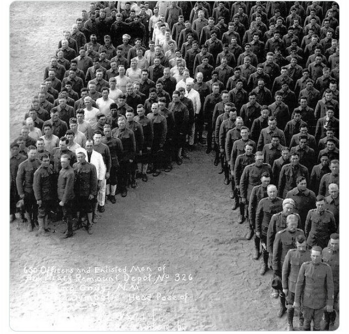 Акция в память о 8 миллионах лошадей, погибших в Первую мировую войну