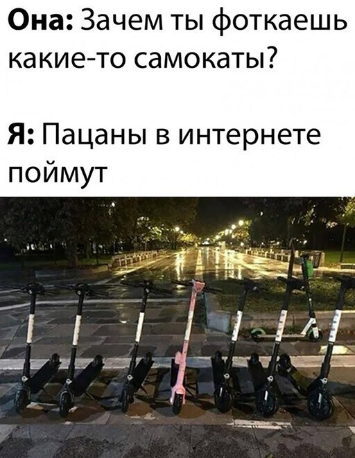 Смешные и познавательные картинки