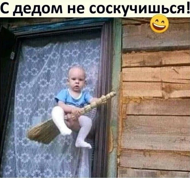 Смешные и познавательные картинки