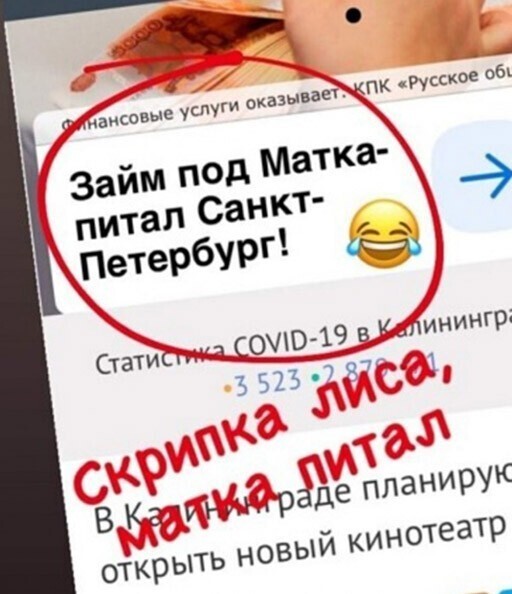 Смешные и познавательные картинки