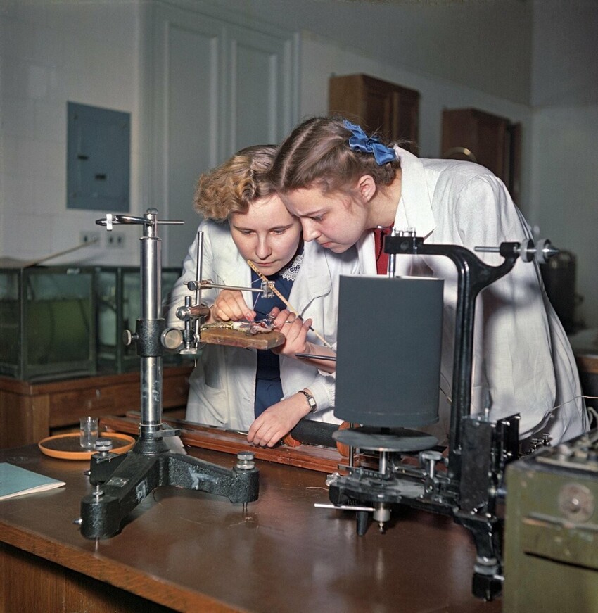 Рассматриваю добрые и светлые фотографии Евгения Умнова: в 1950-х наша страна и люди были совсем иными