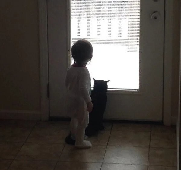 22. Малыш и кот в восторге от снега