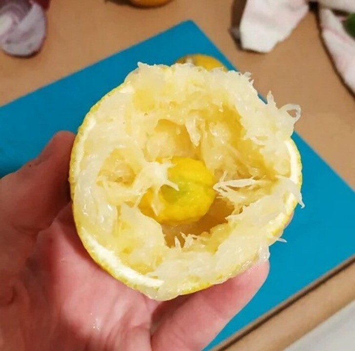 "В моем лимоне пророс еще один маленький лимон"